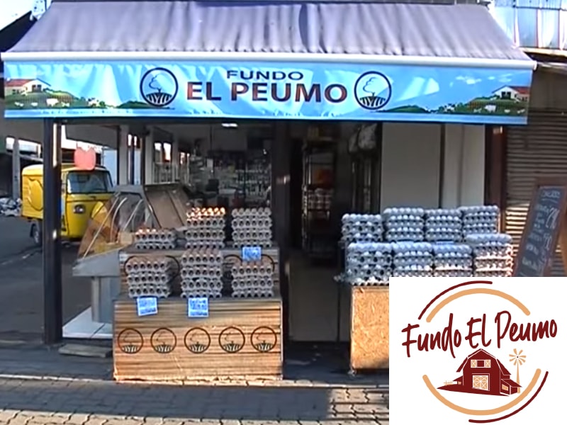 Fundo-el-peumo